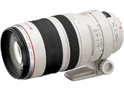 Canon EF 100-400 mm F/4.5-5.6L IS USM