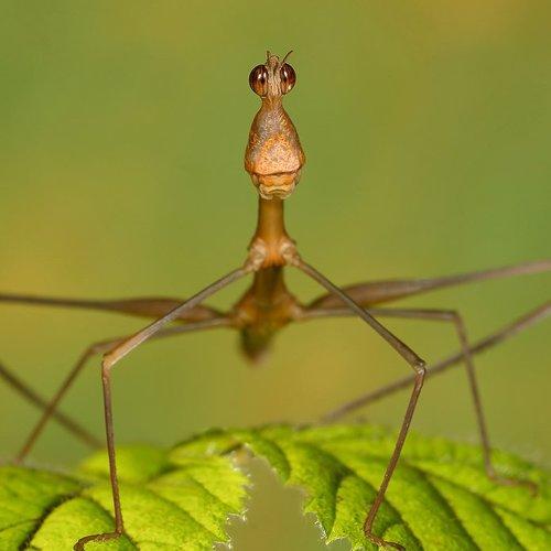 Preview Photographer\'s photo Надежда Муравьёва