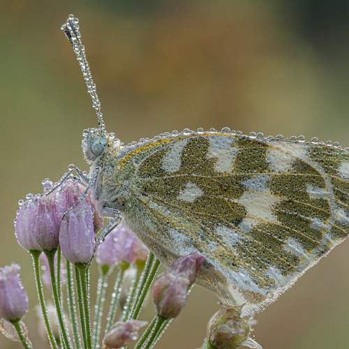 Preview Photographer\'s photo Зайцев Роман