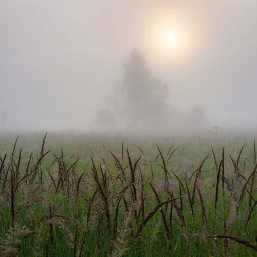 Preview Photographer\'s photo Светлана Кондрашова