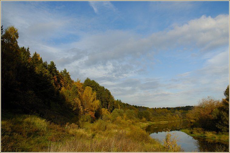 осень, сосны, лес, листья, река, Капустин Николай