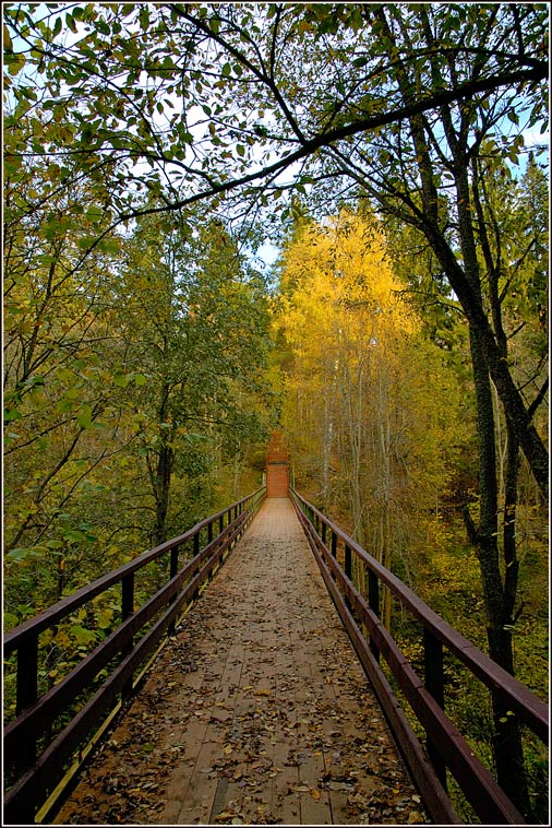 осень, мост, дерево, лес, Капустин Николай