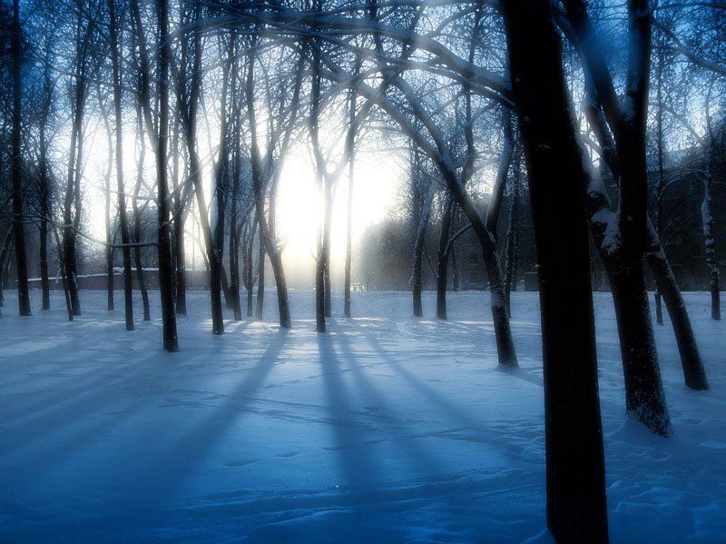 зима, лес, молчание, тишина, никого, линкольн, мальчики и девочки, Dmitry