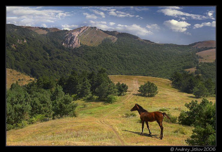 крым, лето, горы, небо, лошадка, photohunter, Андрей Житков