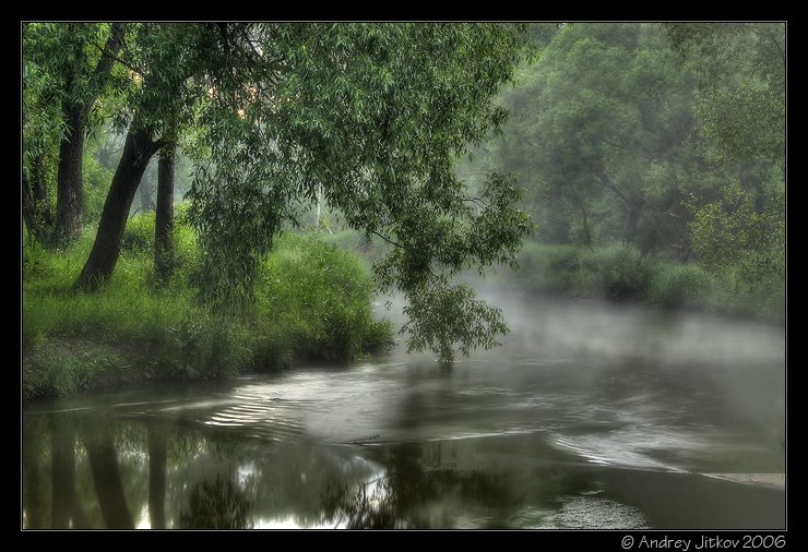 москва, утро, река, лето, овраг, photohunter, Андрей Житков