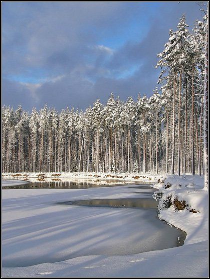 зима, озеро, лес, сосны, небо, облако, солнце, снег, dyadyavasya, Дмитрий Шамин