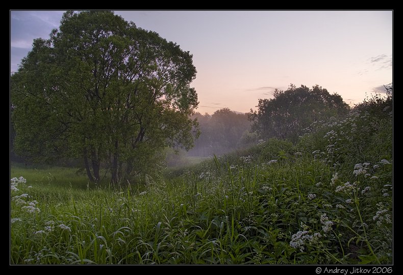москва, утро, лето, овраг, рассвет, туман, photohunter, Андрей Житков