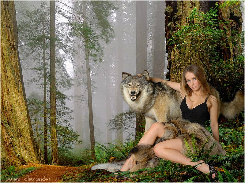 лес фантазия волк девушка, Александр Путев