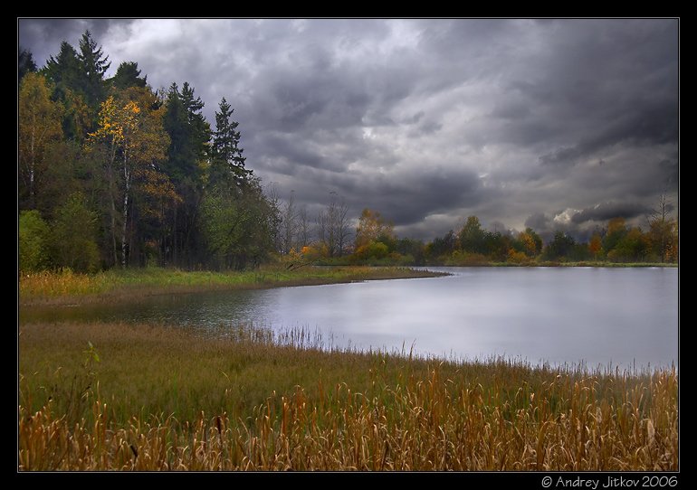 подмосковье, осень, октябрь, листья, ненастье, тучи, photohunter, Андрей Житков
