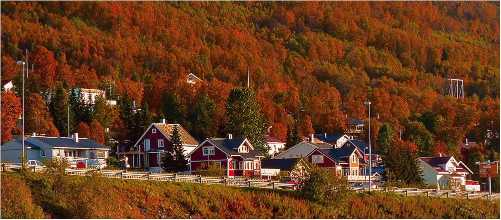 Норвегия,осень,деревья,столбы,домики,строитель, jenta