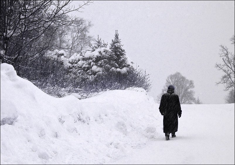 снегопад,улица,пешеход,холод,зима, jenta