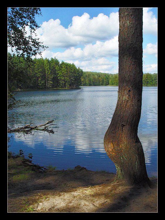 селигер озеро лес лето солнце вода, Anna Fomicheva [nusha]