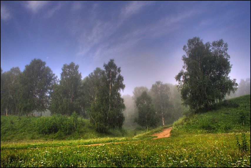 Утро, туман, лето, июль, НСО, Аня Графова, Аня Графова