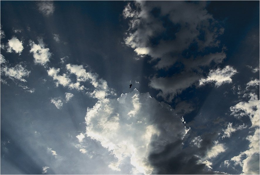 Небо облака, Самолинов Андрей