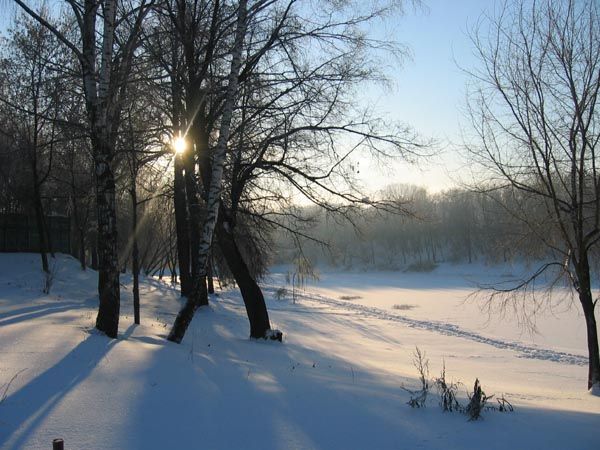 снег, солнце, зима, речка, река, лыжня, лес, Vincent