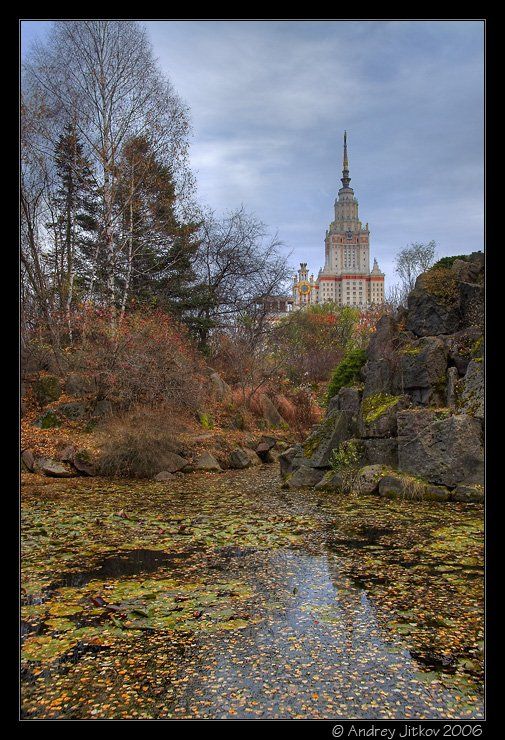 москва, октябрь, университет, осень, листья, photohunter, Андрей Житков