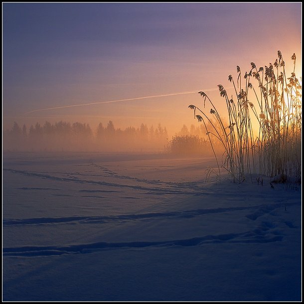 зима туман рассвет, Григорий Иващенко