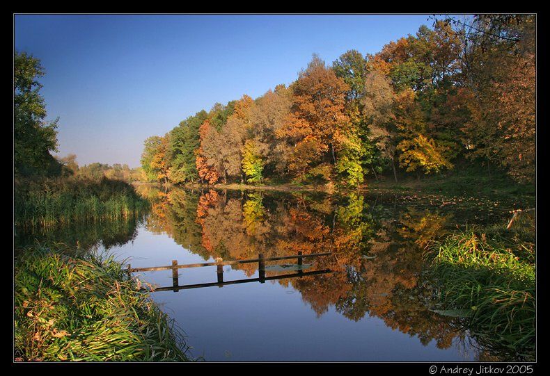 москва, осень, октябрь, тишина, пруд, деревья, пейзаж, photohunter, Андрей Житков