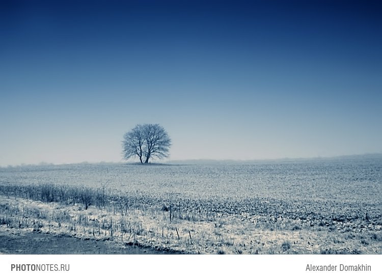 Кубань, пейзаж, зима, дерево, PHOTONOTES.RU, Alex Domakhin