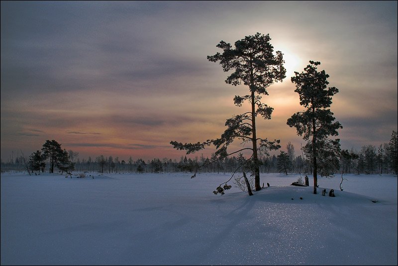 зима рассвет, Сергей Чубаров