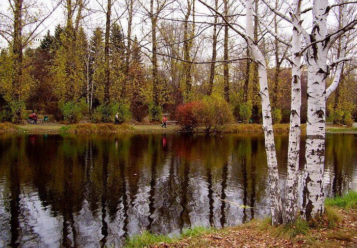 осень, парк, Наталья Герасименко