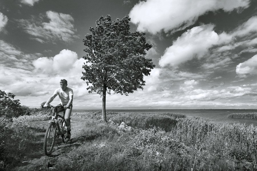 велосепидист,финский залив,небо,дерево,вода,, Евгений Пугачев.