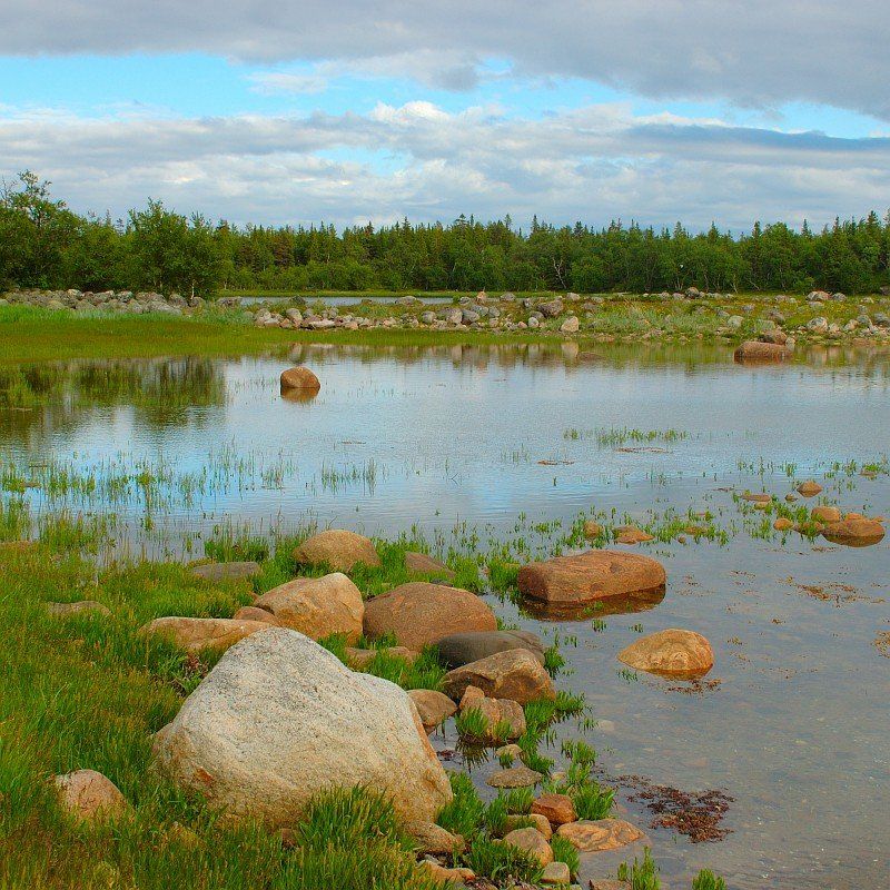 соловецкий архипелаг, остров соловецкий, филипповские садки, белое море, мягкое солнце, травка, камни, Kaiser Sozo