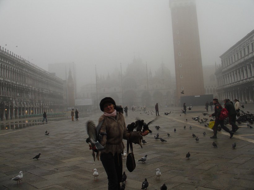 венеция.декабрь.туман.голубь,чайка, Liz