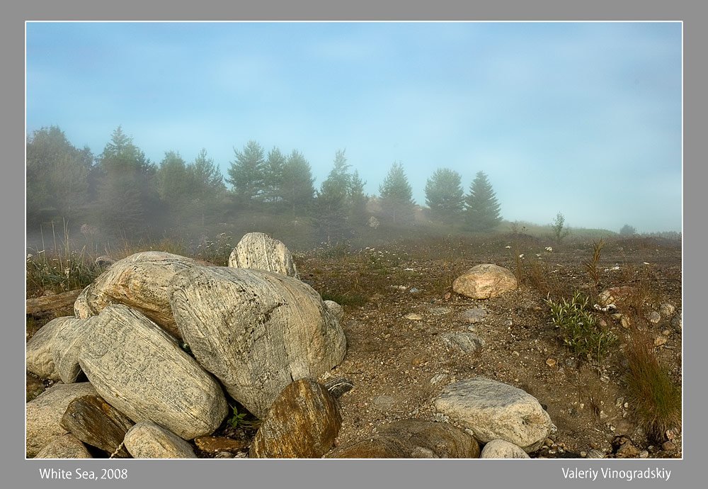 туман камни природа деревья, Виноградский Валерий