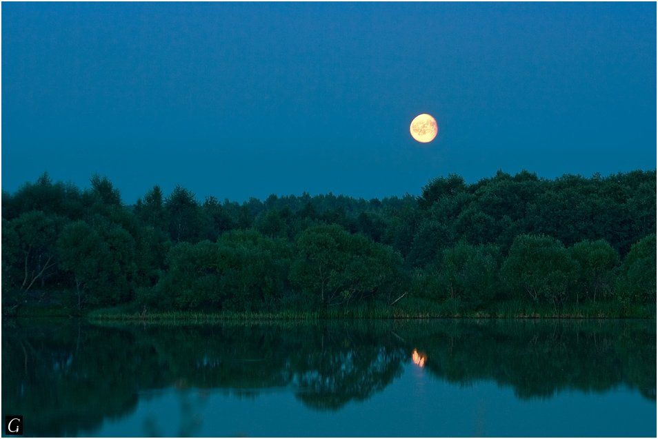 восход, луна, талашкино, вечер, смоленская, пруд, лес, август, Gorshkov Igor_Feanorus