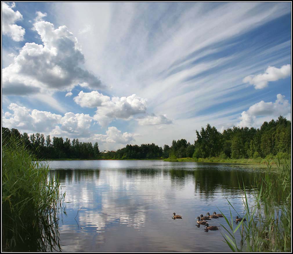 финское озеро, шуваловский парк, облака, озеро, лето, природа, пейзаж, Alexander