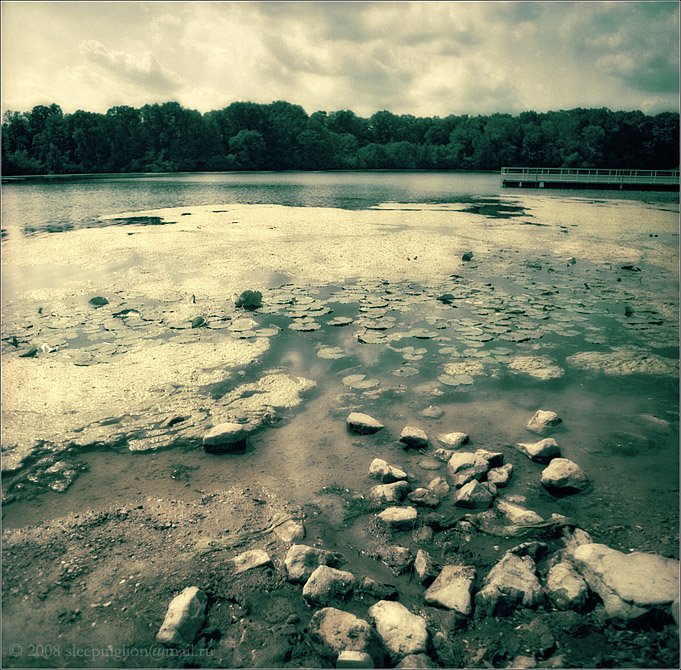 пейзаж, пленка, 120 film, средний формат, medium format, 6x6, киев-60, pilgrim, Pilgrim