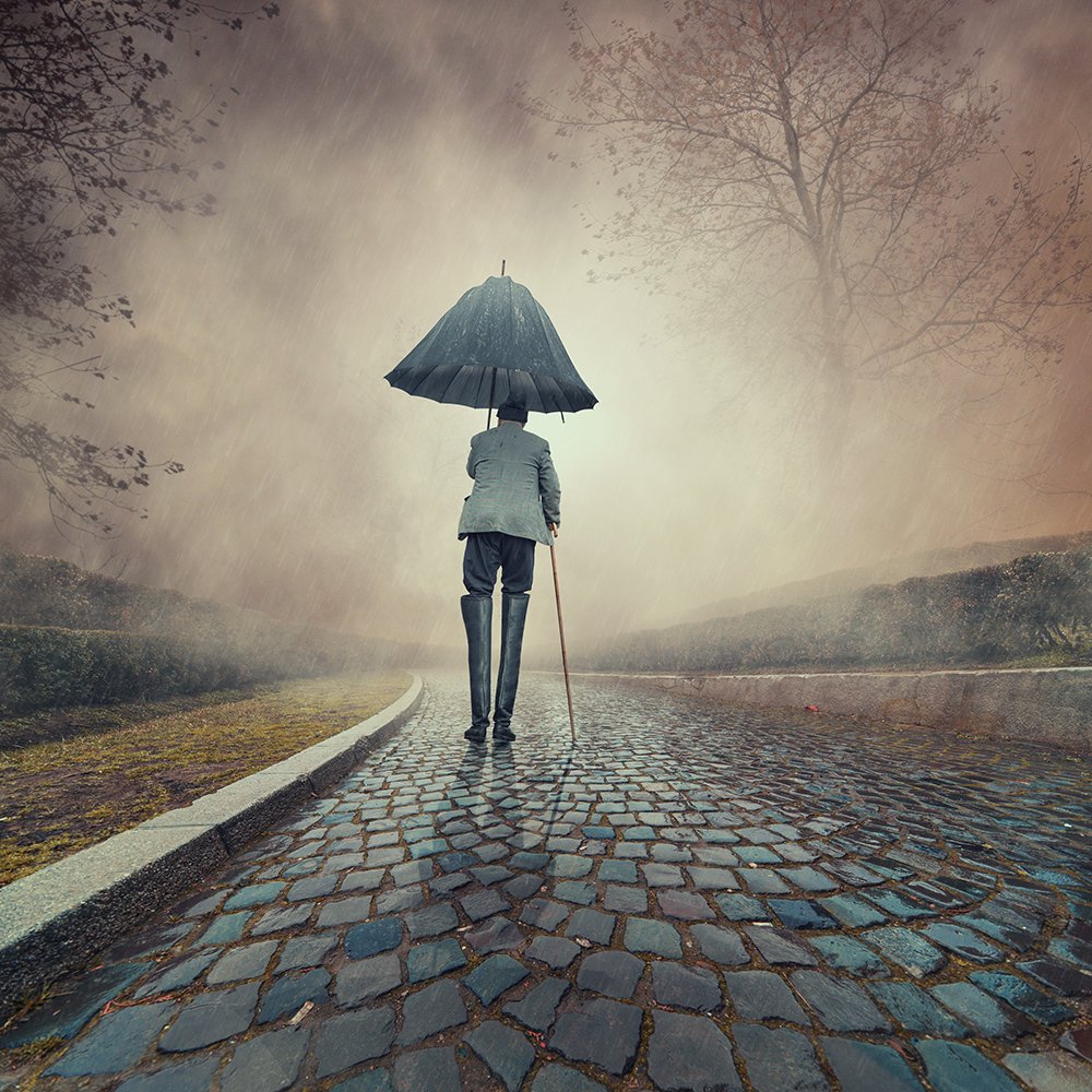 man,umbrella, rain, photoshop, manipulation, tree, fog, wet, boots, walking, protection, Caras Ionut