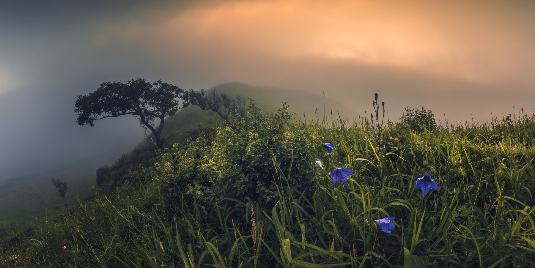 панорама, лето, туман, Андрей Кровлин