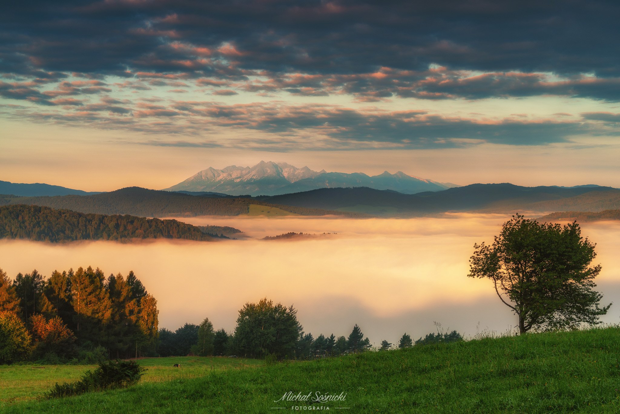 #poland #morning #sunrise #fog #landscape #pentax #benro #benq, Michał Sośnicki