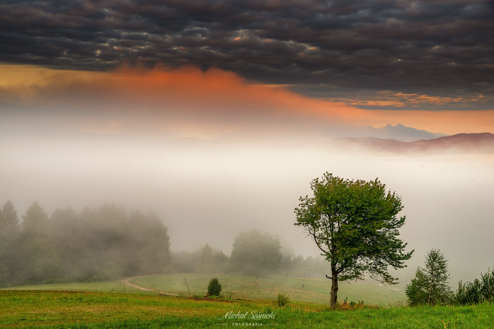 #poland #morning #sunrise #fog #landscape #pentax #benro #benq #tree #mountains, Michał Sośnicki