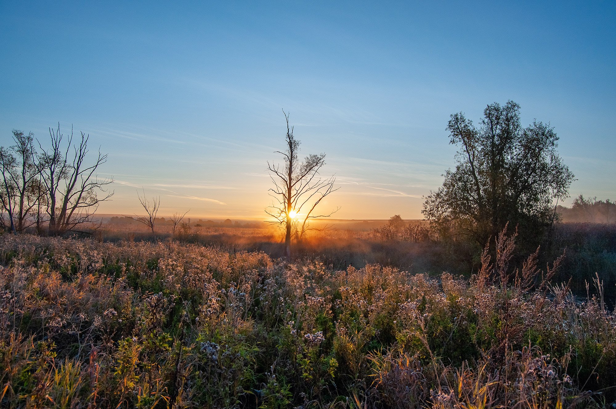 утро, рассвет, речка, поле, дерево, солнце, нижний новгород, саранск, Andres Ganenkoff
