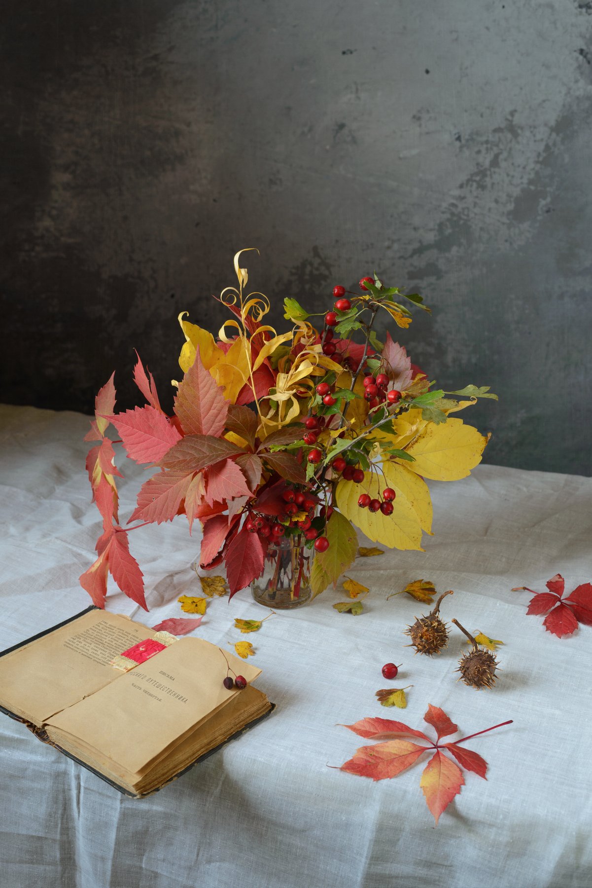 листья, осень, боярышник, каштан, книга, fashionfoodfoto