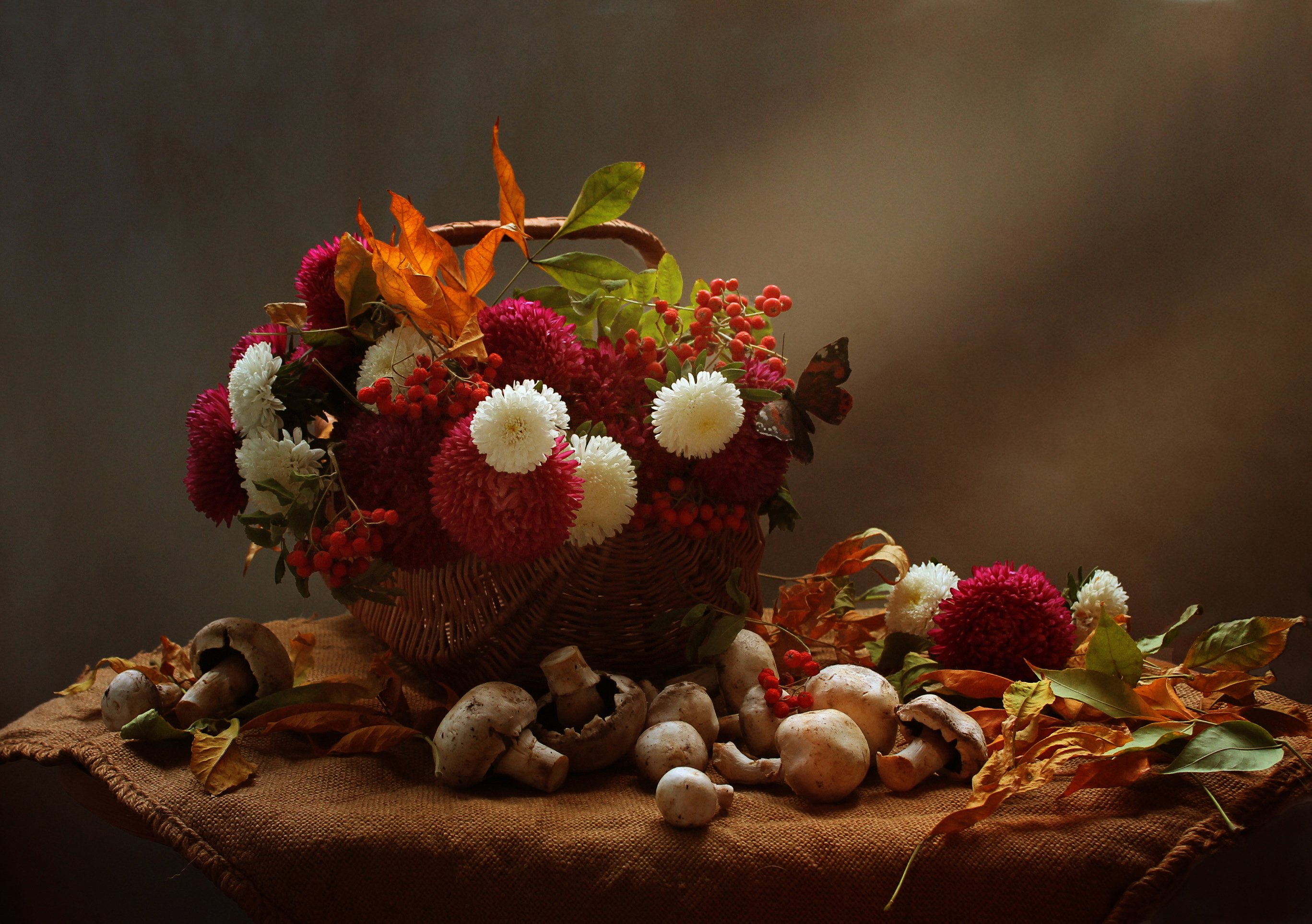 осень, натюрморт, астры, корзина, цветы, грибы, Ковалева Светлана