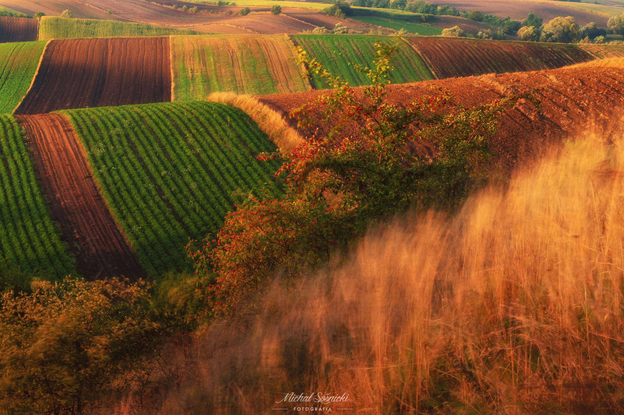 #autumn #ponidzie #workshop #landscape #best #color #flower #pentax #benro #benq, Michał Sośnicki