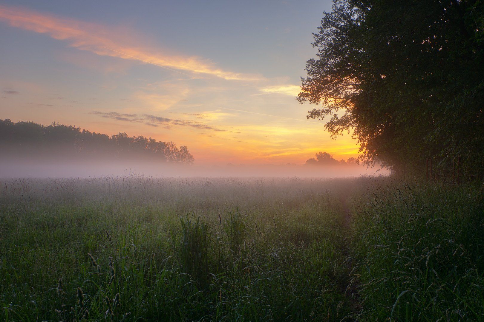 рассвет, туман, лес, пейзаж, утро, луг, dawn, fog, forest, landscape, morning, meadow, Виктор Тулбанов