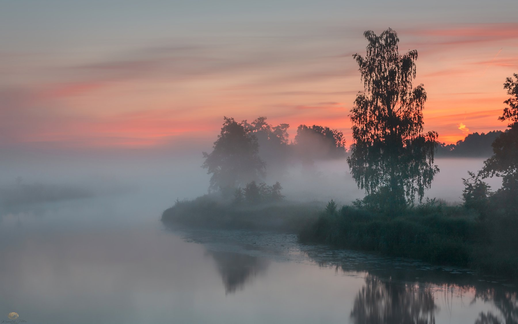 Tree  Nature  Scenics - Nature  Sky  Water  Landscape - Scenery  Cloud - Sky  Fog  Rising Mist, Krzysztof Tollas