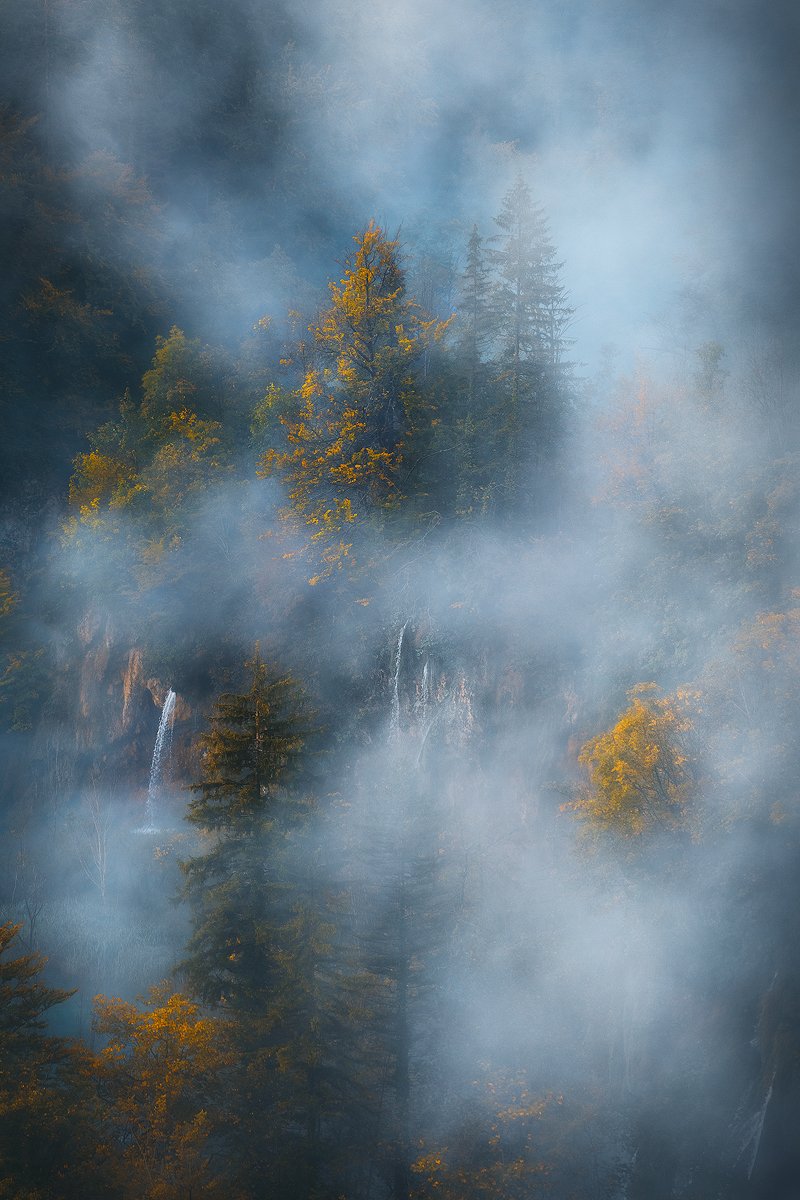 plitvice, lakes, croatia, landscape, autumn, mist, fog, tree, forest, , Roberto Pavic