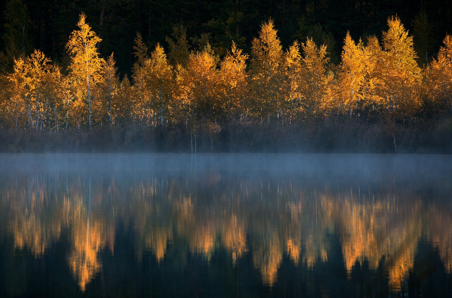 пейзаж, отражения, осень, деревья, Евгений Гецев