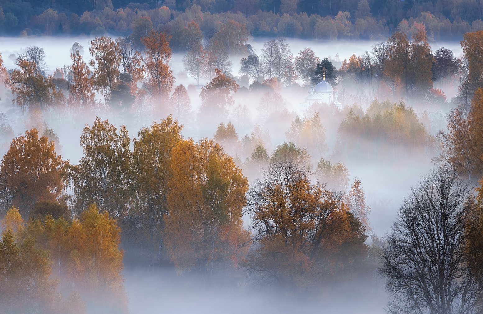 истра, осень, пейзаж, рассвет, Виталий Левыкин