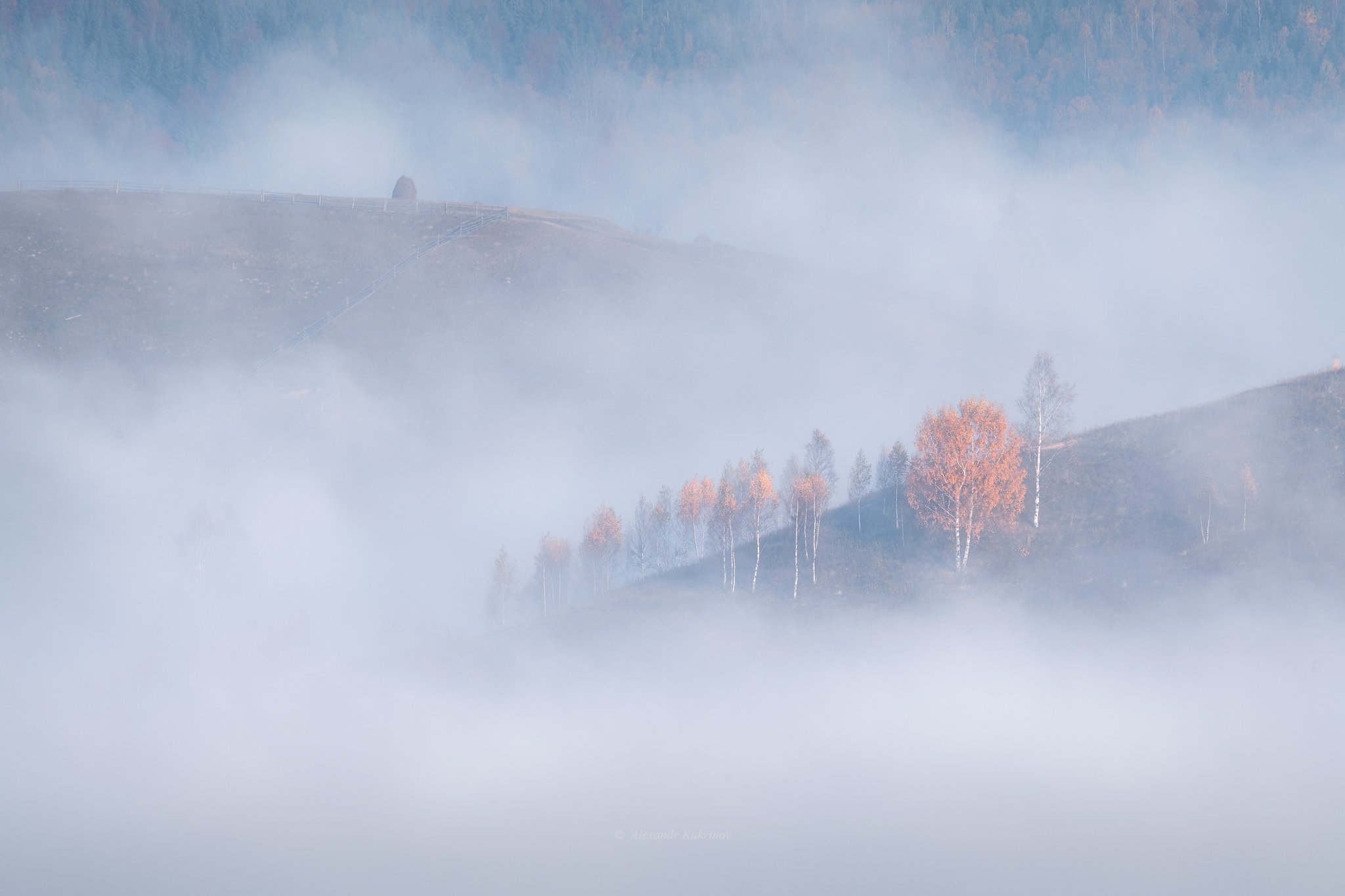 карпаты, осень, пейзаж, рассвет, туман, Александр Кукринов
