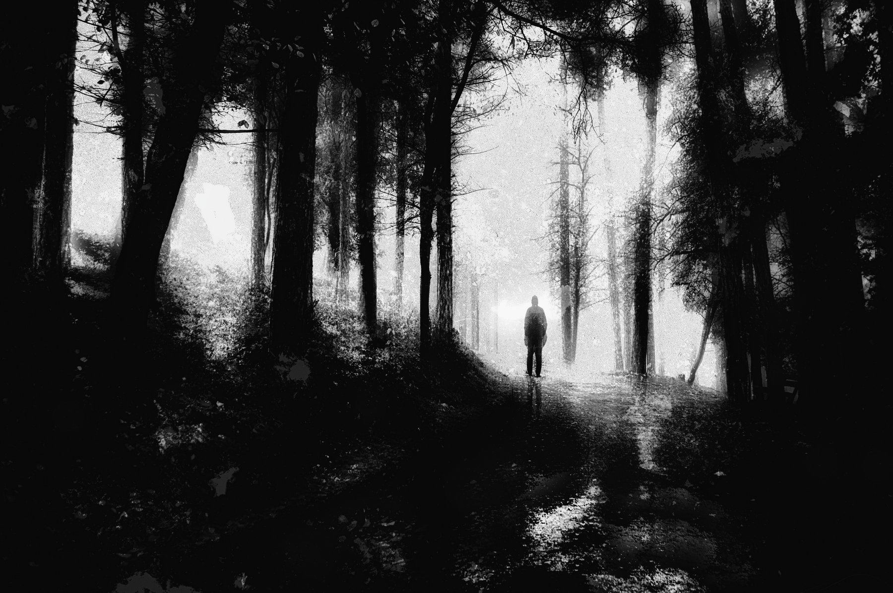 forest, man, trees, silhouette, loneliness, road, sadness, Black and white, лес, человек, деревья, силуэт, одиночество, дорога, грусть, Черное и белое, Teodora Sarbinska