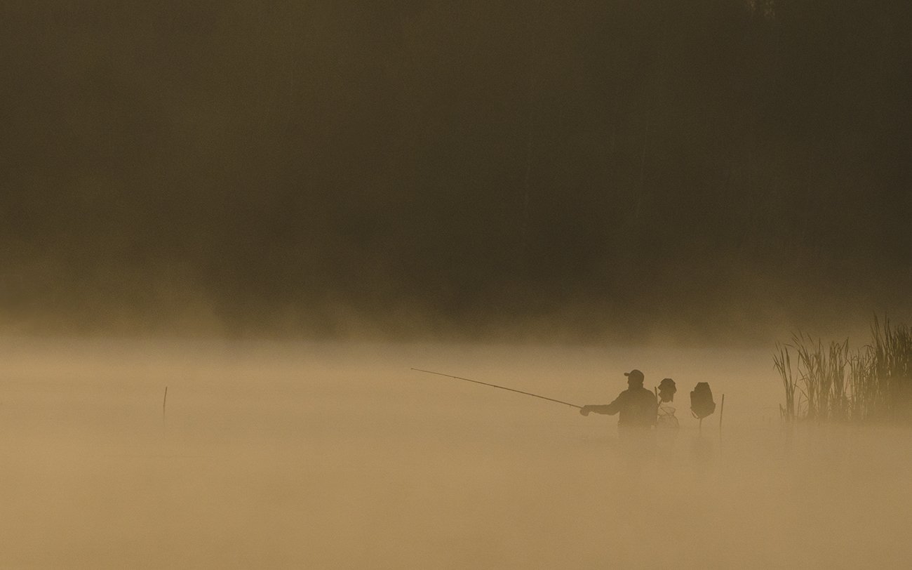 утро, туман, рыбалка, взабродку, рыбак, архангельское, Михаил Агеев
