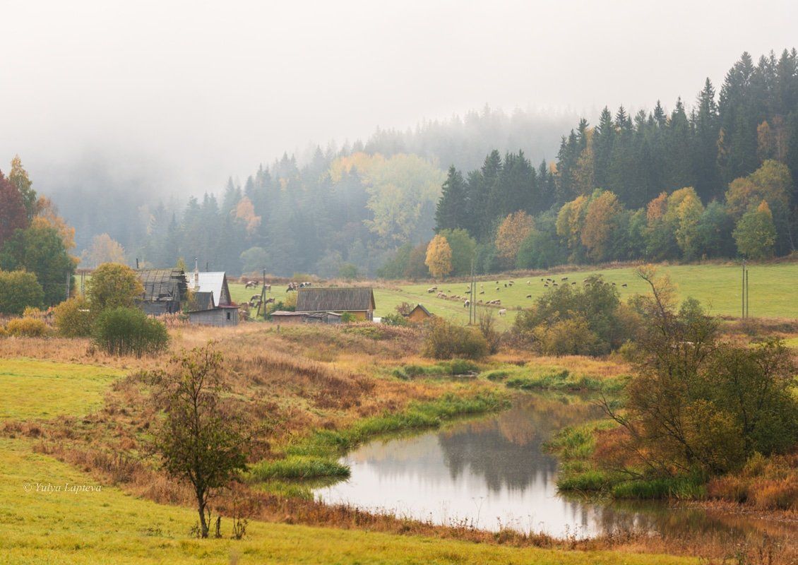 карелия,хутор микли,осень, Юлия Лаптева