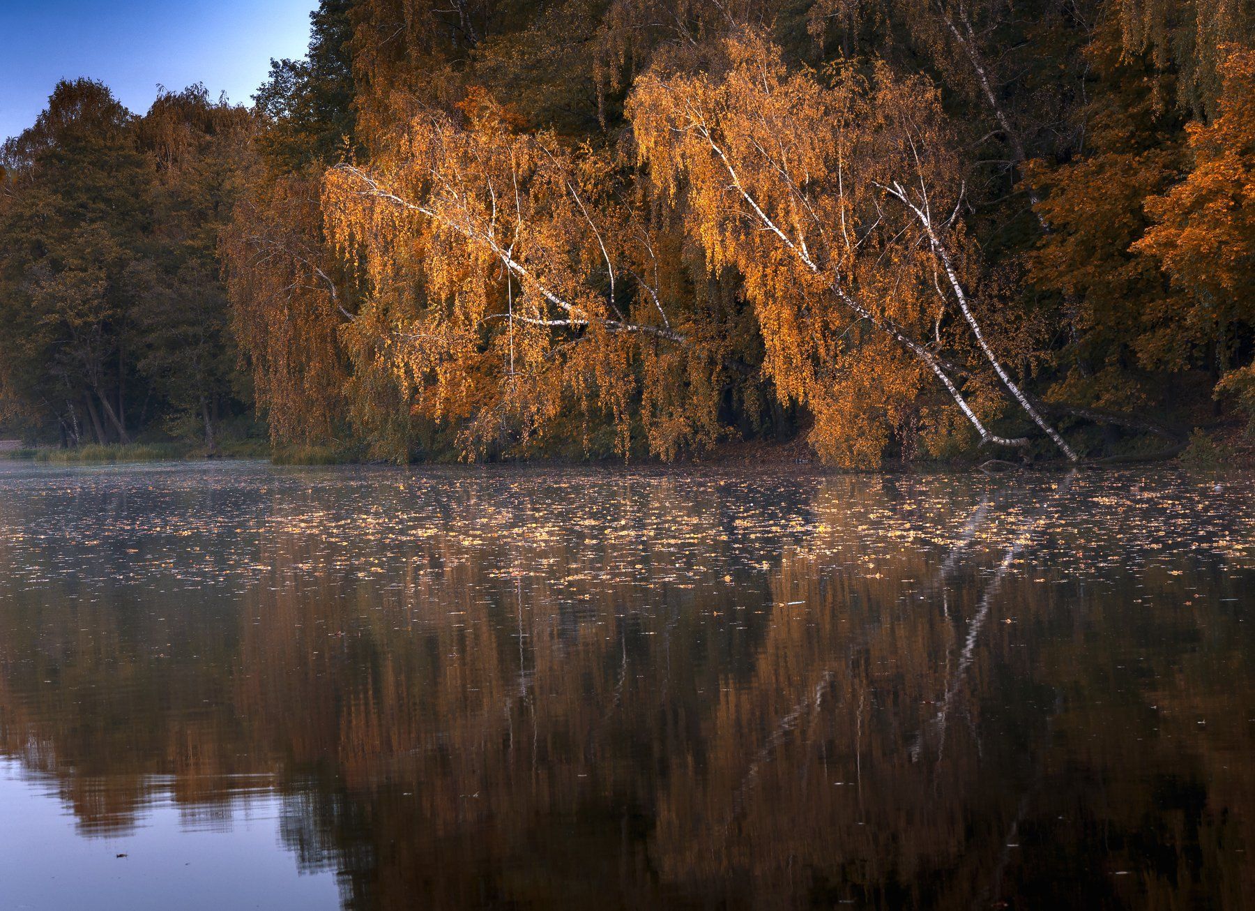 осень,природа,пейзаж,вода,красота, Павел Ныриков